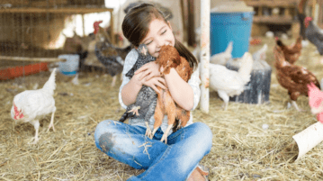 Willow Feather Farm