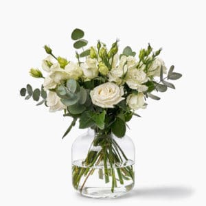 White Chrysanthemums  Flower delivery Johannesburg – Julep