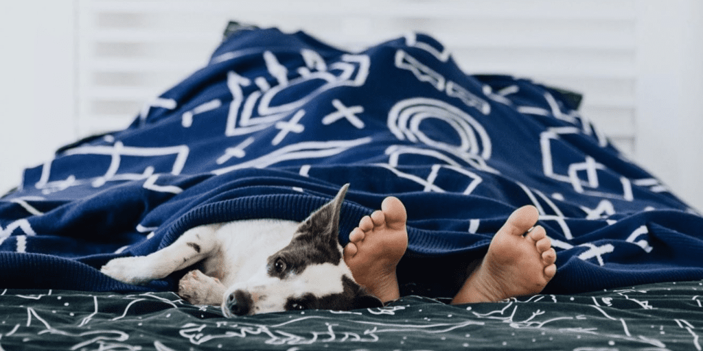 For beautifully crafted throws, blankets, unique knitted clothing and a wide variety of other proudly South African goodies, visit the Something Good Studio.