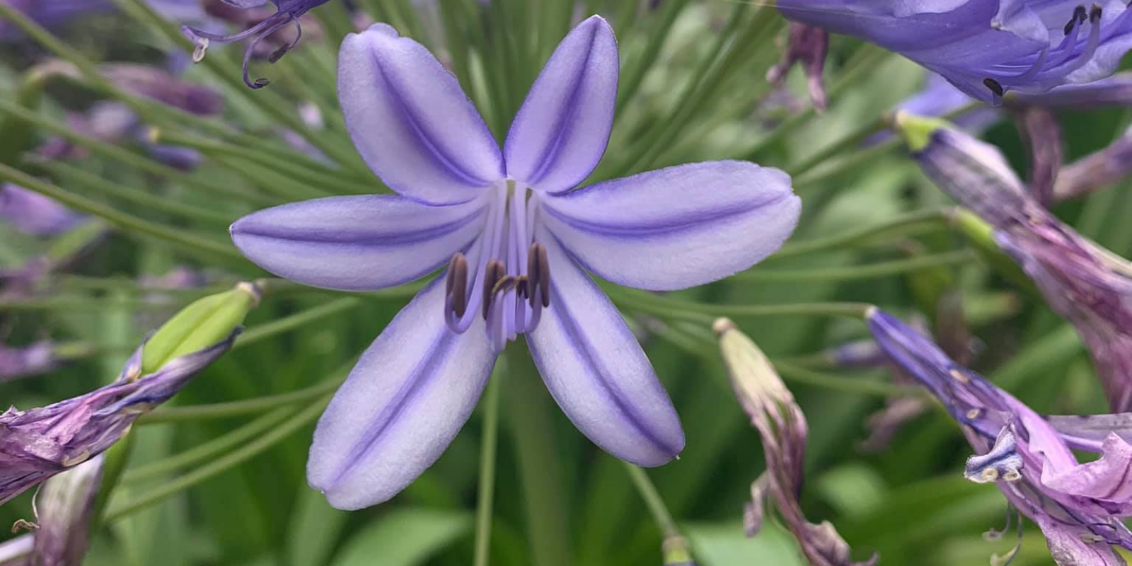 The Wilds Nature Reserve What's on in Joburg