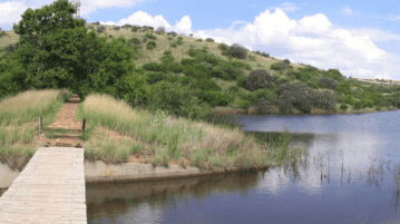 Kloofendal