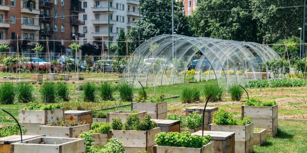 Urban Farming Tours