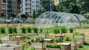 Urban Farming Tours