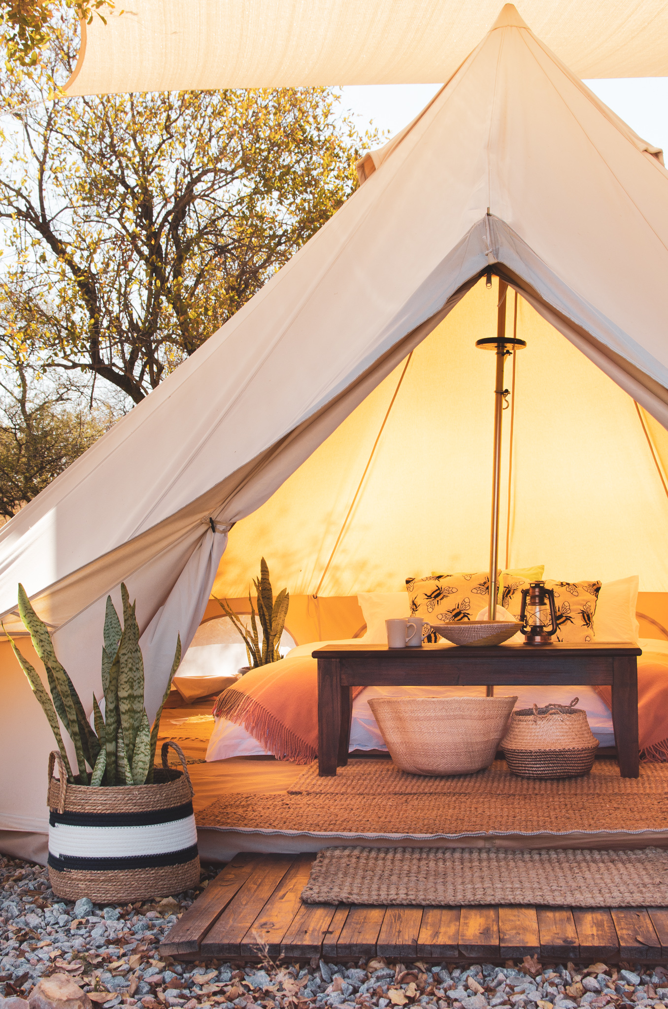 Leadwood Safari Camp What's on in Joburg