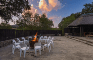 Bush Willow Tented Camp