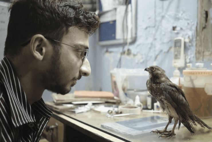 Encounters Festival
