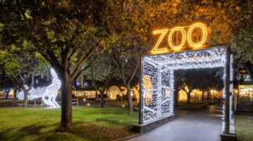 festive things to do in Johannesburg
